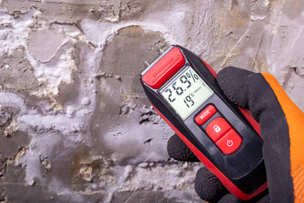 Best Insurance-Related Mold Remediation in Isle Of Palms, SC