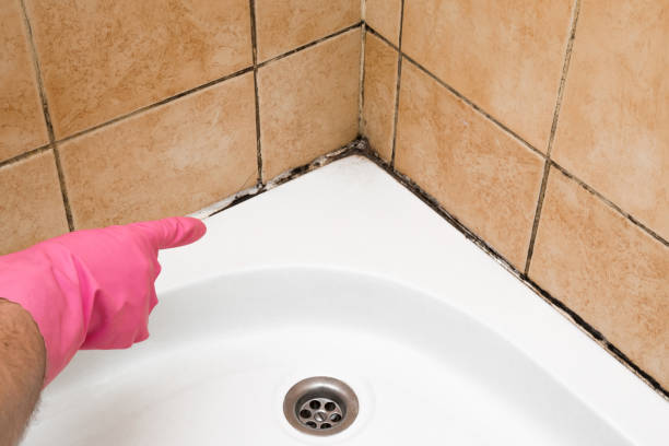 Best Bathroom Mold Remediation in Isle Of Palms, SC